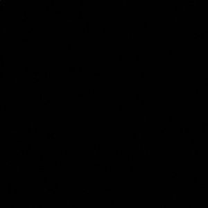 Meet your Posher, Gavin